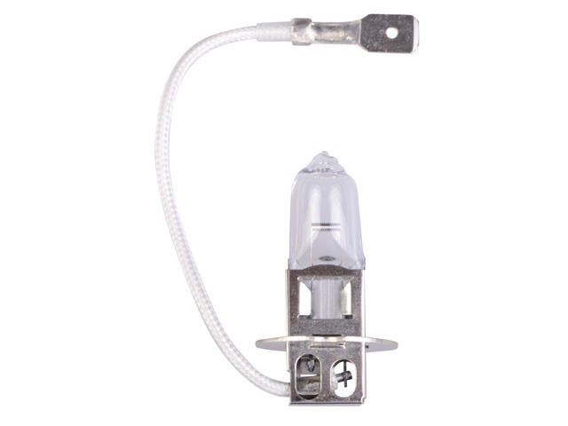 Talamex Halogeenlamp 12V/55W