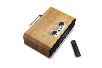 Roberts Blutune 300