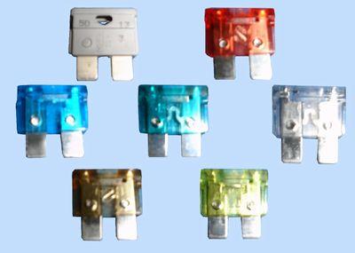 ASA Vlaksteekzekering 15A