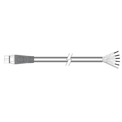 Raymarine STNG Spur Kabel