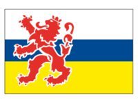 Talamex Vlag Limburg