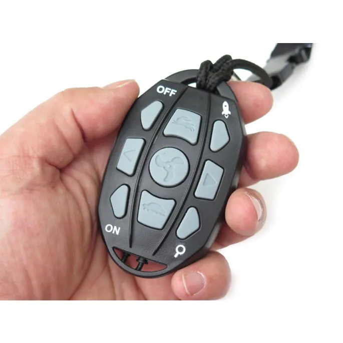 Haswing Cayman B55