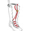 Lizard Spin Boots 3