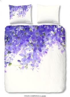 Goodnight Campanula