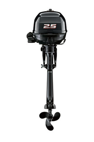 Suzuki DF2.5S