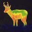 Seek Thermal XR 20 graden