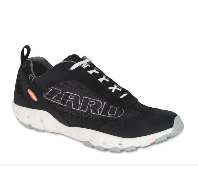 Lizard Crew Shoes