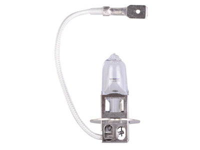 Talamex Halogeenlamp 12V/55W