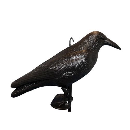 Haba Scare Crow