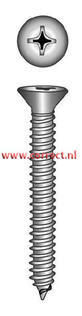 Marinetech Plaatschroef 4.2x50