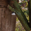 Brennenstuhl Oli 0200