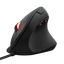 Trust GXT144