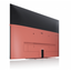 We. By Loewe SEE 43 coral red