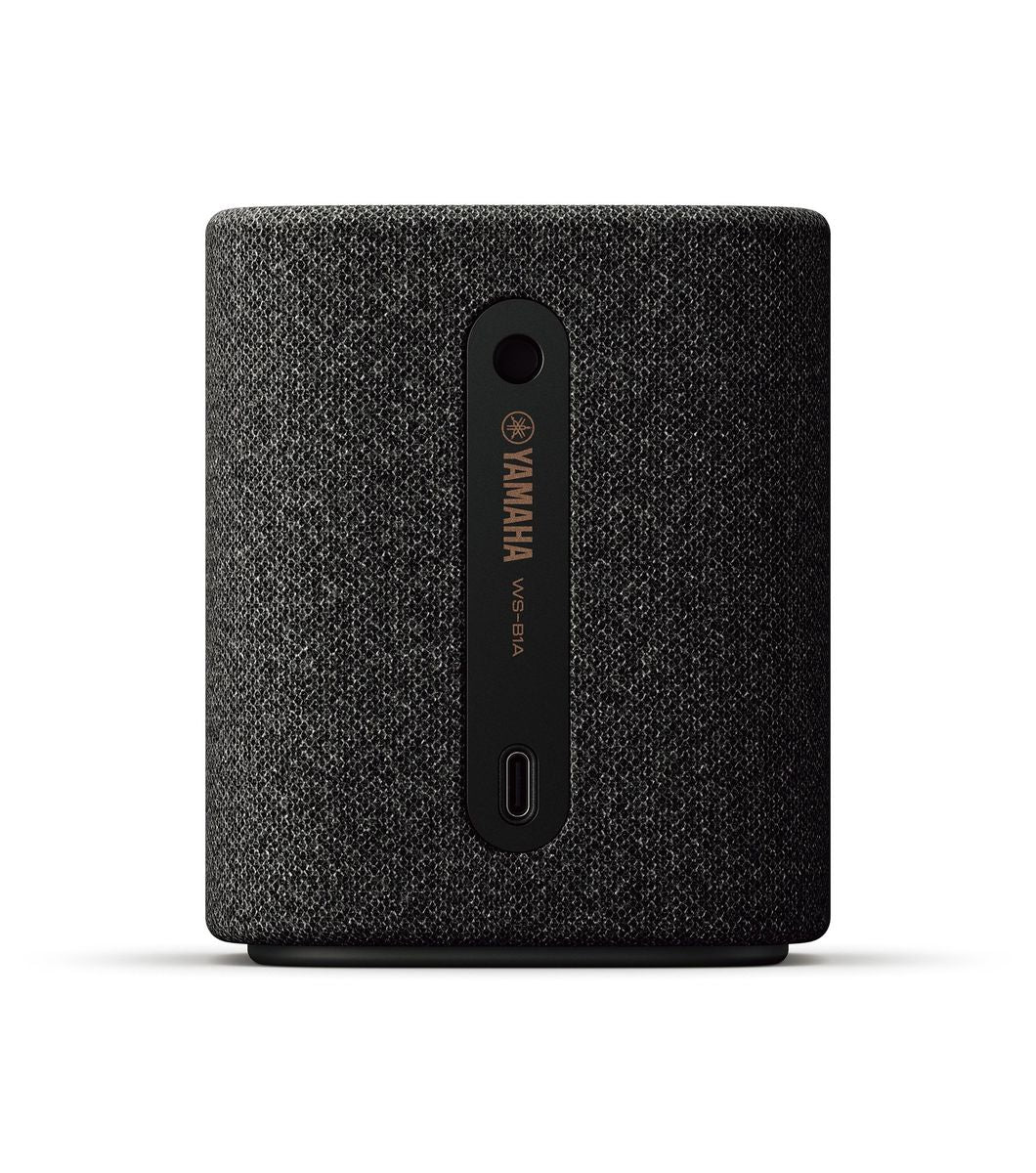 Yamaha WS-B1A carbon grijs
