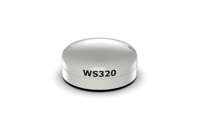 B&G WS320