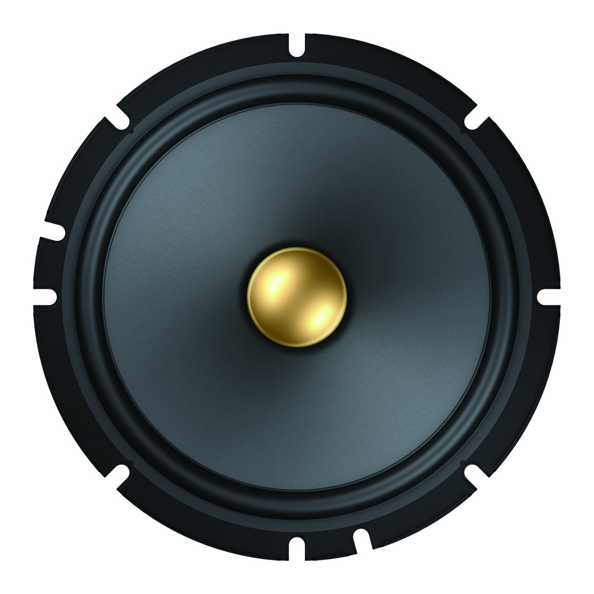 Pioneer TS-A1601C