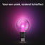 Philips Hue LG G95 E27 EU