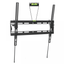 Cavus WMT002