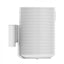 Cavus CMSE100W