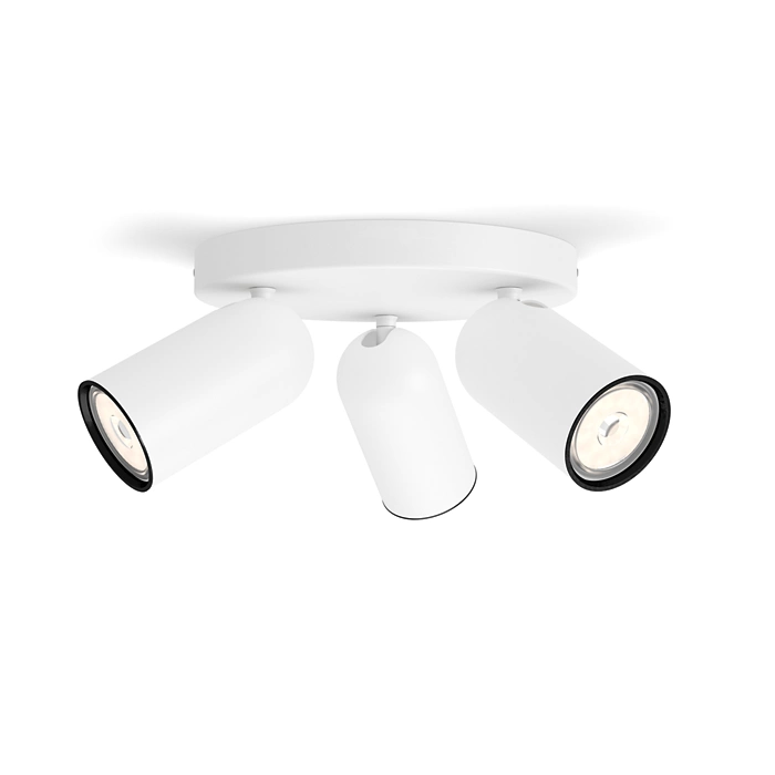 Philips Pongee plate/spiral
