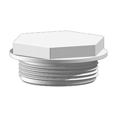 TruDesign Plug 1 1/2 inch BSP