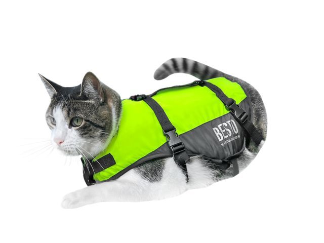 Besto Kattenvest Deluxe XS (0-3 kg)