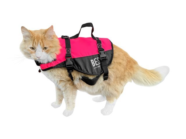 Besto Kattenvest Deluxe XS (0-3 kg)