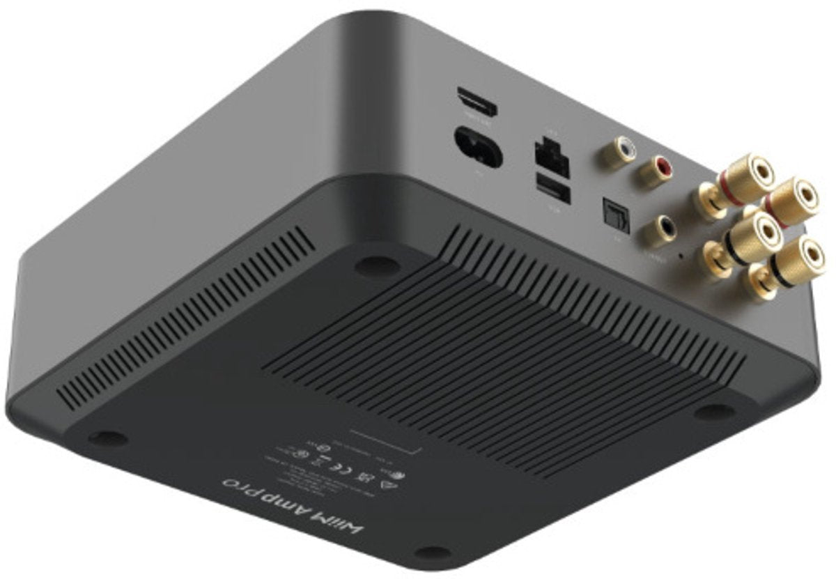 Wiim Amp Pro