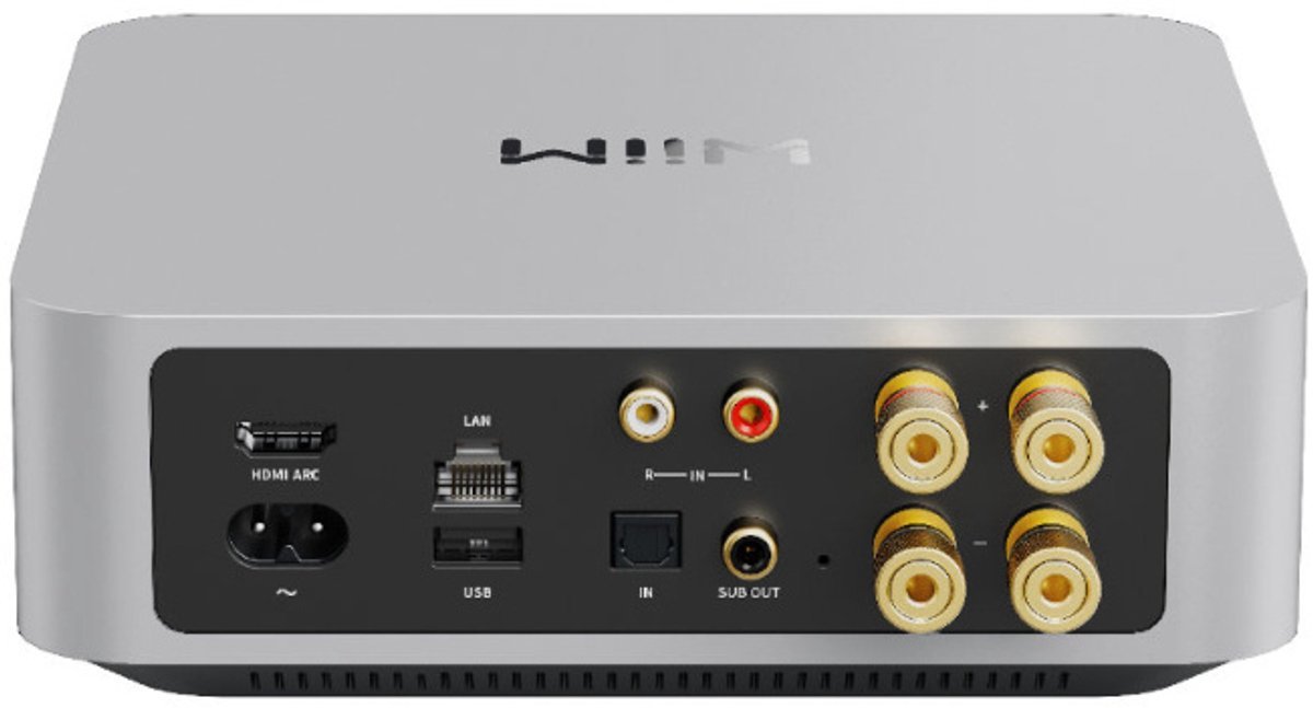 Wiim Amp zwart