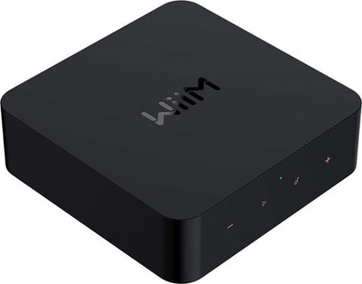 Wiim Pro+ streamer