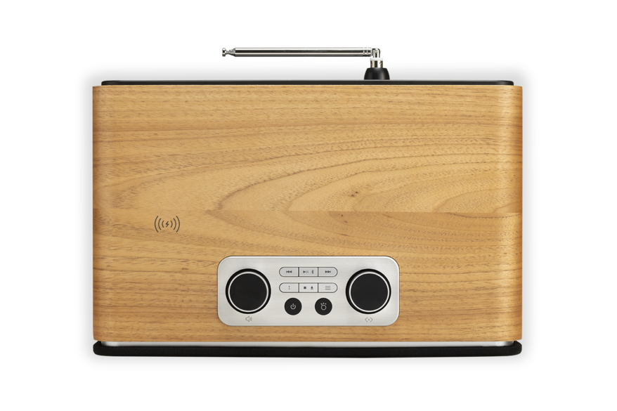 Roberts Blutune 300