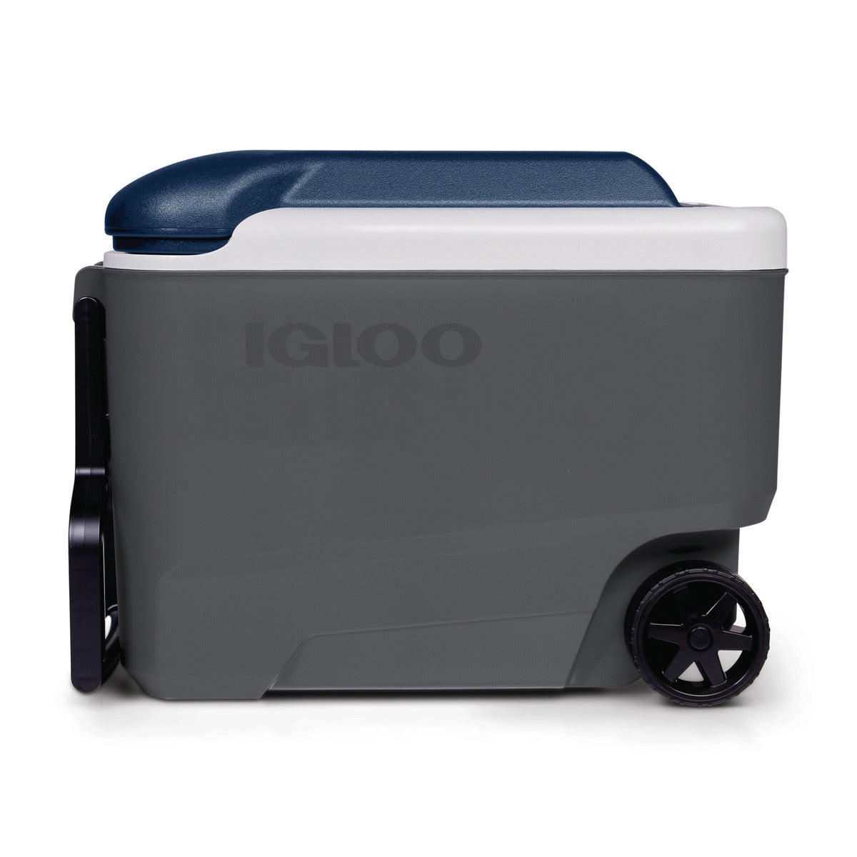 Igloo MC40R