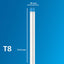 Philips LED TL Buis T8 1500 mm