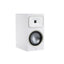 Martin Logan Motion Foundation B2 wit
