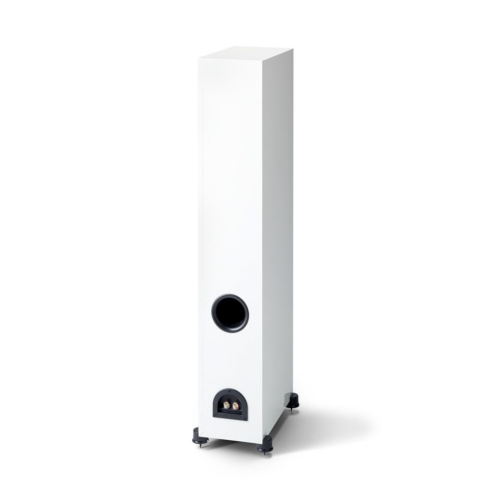 Paradigm Monitor SE 6000F wit