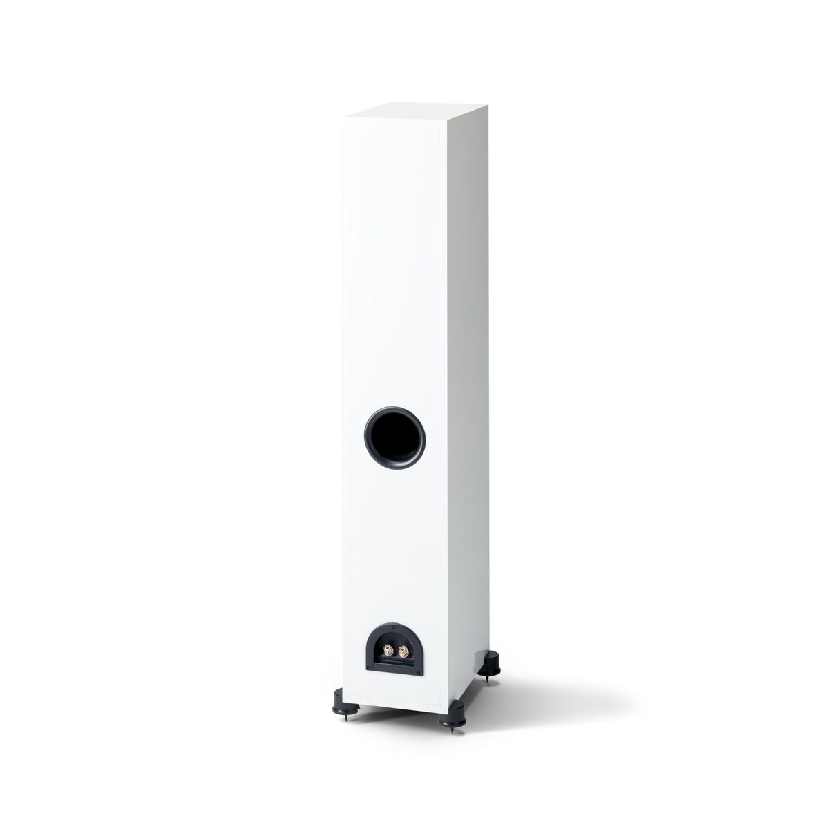 Paradigm Monitor SE 3000F wit