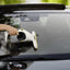 Karcher WV1 Compact Extra