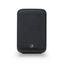 Bluesound PULSE FLEX BLACK P130