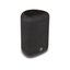 Bluesound PULSE FLEX BLACK P130
