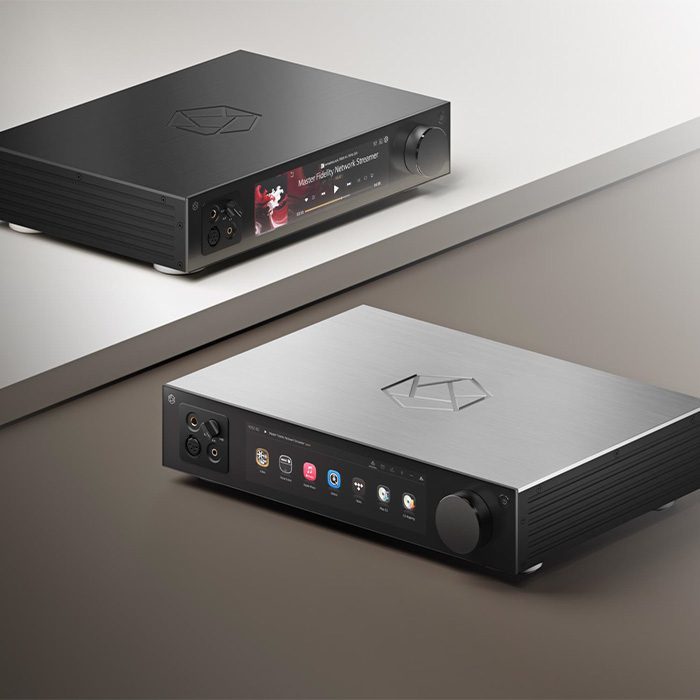 Hifi Rose RS451 ZILVER