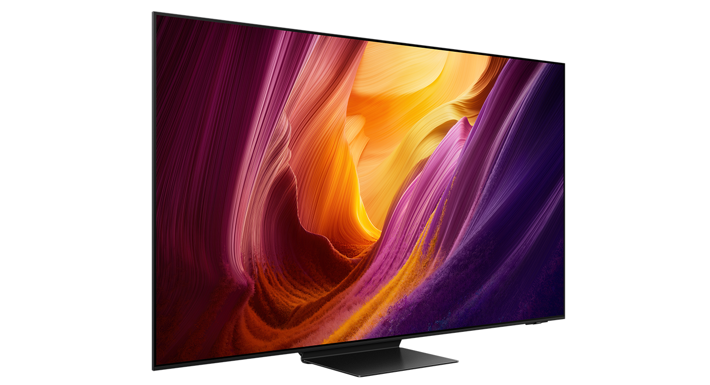 Samsung QE77S95HFTXXN