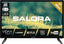 Salora 24EDV200